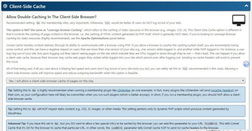 wordpress plugins - comet cache - client side cache